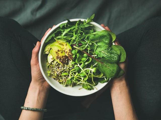 ¿Cómo influye la alimentación en la salud del intestino?