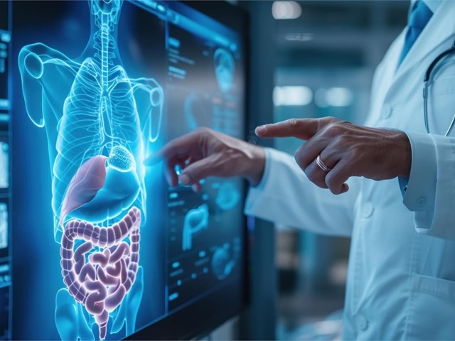 Mitos y realidades sobre las hemorroides